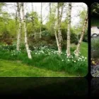 Business 10 image 1 TO ONE GARDEN DESIGN Landscapers in Godalming Su