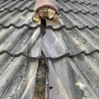 Business 1 image 1ST CALL LOCAL PROPERTY SERVICES Property Development in Chelmsford Es