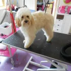 Business 8 image A.C CRITCHLEY & SONS Plumbers in Stoke-On-Trent St