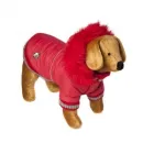 Business 7 image A.P FORD (BUILDING SERVICES) Building Maintenance & Repairs in Newport Gw