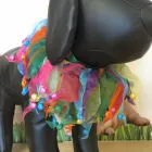 Business 8 image A.P FORD (BUILDING SERVICES) Building Maintenance & Repairs in Newport Gw