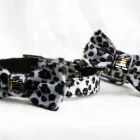 Business 2 image A.P FORD (BUILDING SERVICES) Building Maintenance & Repairs in Newport Gw