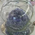 Business 7 image A1 BALLOONS 2 GO Wedding Supplies in Alexandria Du