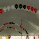 Business 11 image A1 BALLOONS 2 GO Wedding Supplies in Alexandria Du