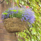 Business 6 image A2Z IT SOLUTIONS Computer Services in Harrow Mi