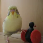 Business 8 image AB CAR SALES CHOBHAM Used Car Dealers in Woking Su