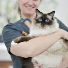 Business 11 image ABBEYCROFT VETERINARY SURGERY Veterinary Services in Northwich Ch