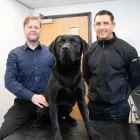 Business 19 image ABBEYCROFT VETERINARY SURGERY Veterinary Services in Northwich Ch
