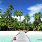 Business 1 image ABINGDON ELECTRONICS Electronic Engineers in Abingdon Ox