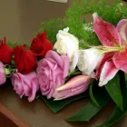 Business 10 image ABODE HOUSING ASSOCIATION LTD Sheltered Accommodation in Craigavon Co