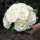 Business 12 image ABODE HOUSING ASSOCIATION LTD Sheltered Accommodation in Craigavon Co