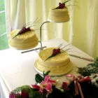 Business 14 image ABODE HOUSING ASSOCIATION LTD Sheltered Accommodation in Craigavon Co