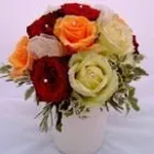 Business 15 image ABODE HOUSING ASSOCIATION LTD Sheltered Accommodation in Craigavon Co