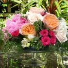 Business 4 image ABODE HOUSING ASSOCIATION LTD Sheltered Accommodation in Craigavon Co