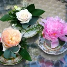 Business 5 image ABODE HOUSING ASSOCIATION LTD Sheltered Accommodation in Craigavon Co