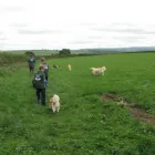 Business 13 image ABSOLUTELY SPIC 'N' SPAN Domestic Cleaning in Paisley Re