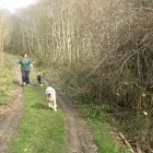 Business 14 image ABSOLUTELY SPIC 'N' SPAN Domestic Cleaning in Paisley Re