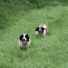 Business 3 image ABSOLUTELY SPIC 'N' SPAN Domestic Cleaning in Paisley Re