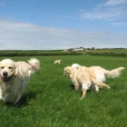 Business 7 image ABSOLUTELY SPIC 'N' SPAN Domestic Cleaning in Paisley Re