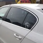 Business 10 image ACE TAXIS Transportation Services in Gillingham Do