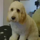 Business 11 image ACOL UK Grocers & Convenience Stores in Preston La