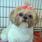 Business 12 image ACOL UK Grocers & Convenience Stores in Preston La