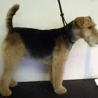 Business 14 image ACOL UK Grocers & Convenience Stores in Preston La