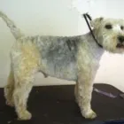 Business 15 image ACOL UK Grocers & Convenience Stores in Preston La