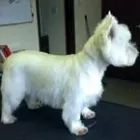 Business 16 image ACOL UK Grocers & Convenience Stores in Preston La