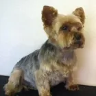 Business 17 image ACOL UK Grocers & Convenience Stores in Preston La