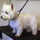 Business 3 image ACOL UK Grocers & Convenience Stores in Preston La