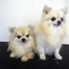 Business 18 image ACOL UK Grocers & Convenience Stores in Preston La