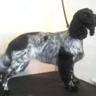 Business 19 image ACOL UK Grocers & Convenience Stores in Preston La