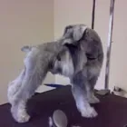 Business 20 image ACOL UK Grocers & Convenience Stores in Preston La