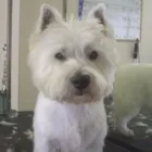 Business 7 image ACOL UK Grocers & Convenience Stores in Preston La