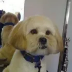 Business 8 image ACOL UK Grocers & Convenience Stores in Preston La