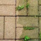 Business 2 image ACS Domestic Cleaning in Stoke-On-Trent St