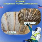 Business 5 image ACTION DRY EMERGENCY SERVICES LTD Property Maintenance Services in Romford Gr