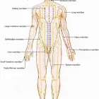 Business 1 image ACUPUNCTURE FOR LIFE Stress Management in Burton-On-Trent Sts