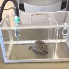 Business 2 image ADVANCE VETERINARY CARE Veterinary Services in Lisburn Co