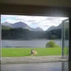 Business 3 image AERO RADIO CARS Taxis & Private Hire Vehicles in Solihull We