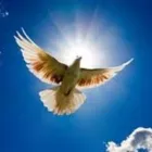 Business 2 image AFFORDABLE FUNERALS Funeral Services in Leeds We