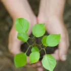 Business 2 image AHS ACCOUNTANTS Tax Services in Luton Be