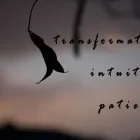 Business 1 image AIRMEITH Reiki Practitioners in Fulwood La