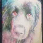 Business 5 image ALDRICH ART LTD Writing & Publishing in Hinckley Le