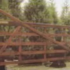 Business 5 image ALL TREES Landscapers in Staines-Upon-Thames Mi