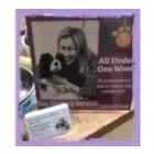 Business 5 image ALL UNDER ONE WOOF Veterinary Services in Wirral Me