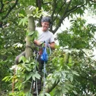 Business 8 image ALLYCATS Pet Services in Tonbridge Ke