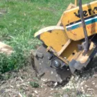 Business 11 image ALLYCATS Pet Services in Tonbridge Ke