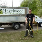 Business 2 image ALLYCATS Pet Services in Tonbridge Ke